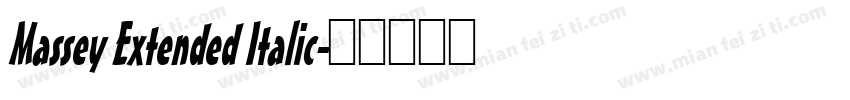 Massey Extended Italic字体转换